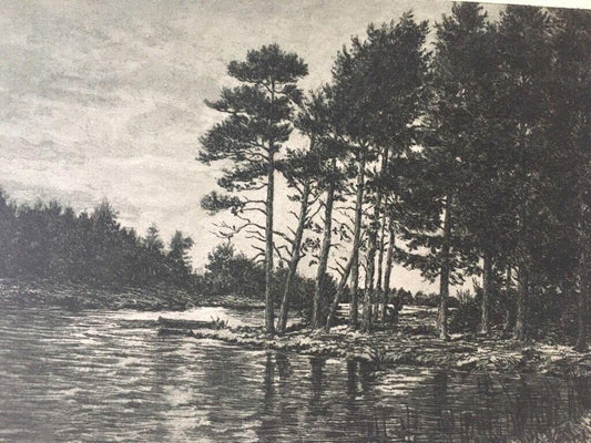 Kurt Panzerbieter, Etching, River in Forest