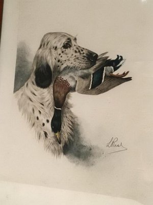 L. Riad, English Setter and Duck, 1920s, Colored Lithograph-BA-658386