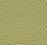 L3S - Lime