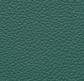 L4E - Cedar Green