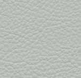 L4N - Plaster