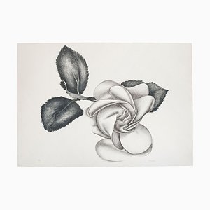 lack Rose - Original Etching by Giacomo Porzano - 1972 1972-ZCI-761833