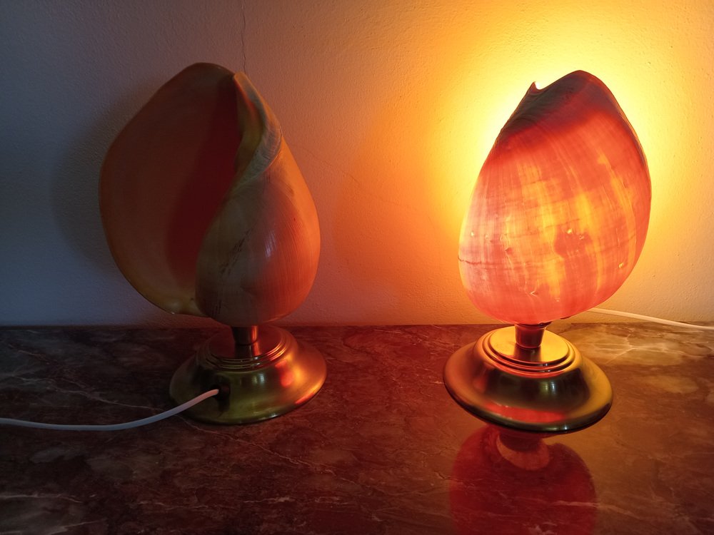 Lamps with Shell, 1980s, Set of 2