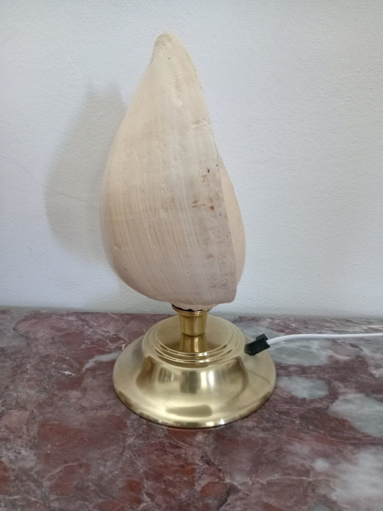 Lamps with Shell, 1980s, Set of 2