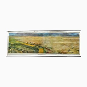 Landscape Middle Asia Desert with River Oasis Rollable Wall Chart-KJP-1149236