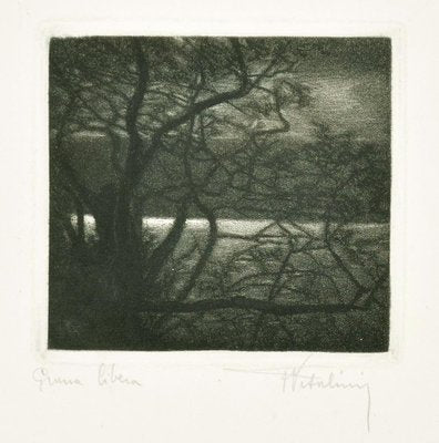 Landscape - Original Etching on Paper by Francesco Vitalini - 1904 1904-ZCI-768592