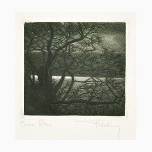 Landscape - Original Etching on Paper by Francesco Vitalini - 1904 1904-ZCI-768592