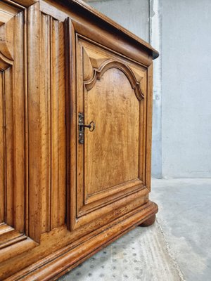 Large 18th Century Walnut Cabinet-IFQ-1794887