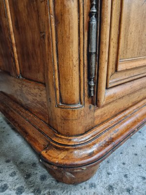 Large 18th Century Walnut Cabinet-IFQ-1794887