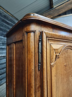 Large 18th Century Walnut Cabinet-IFQ-1794887