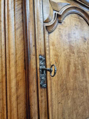 Large 18th Century Walnut Cabinet-IFQ-1794887