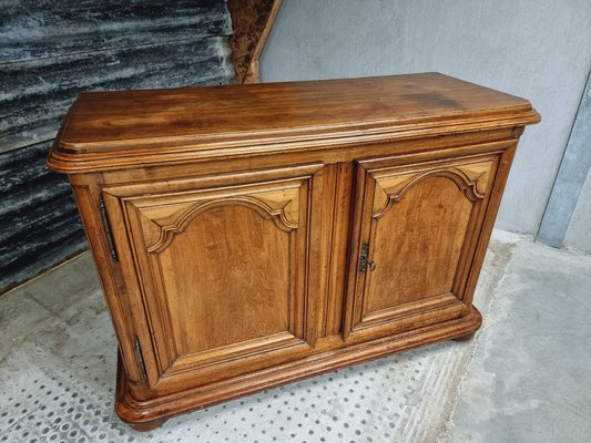 Large 18th Century Walnut Cabinet-IFQ-1794887