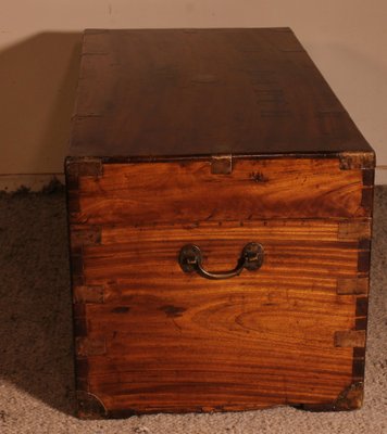 Large 19th Century Camphor Wood Campaign Chest-HPU-1420611