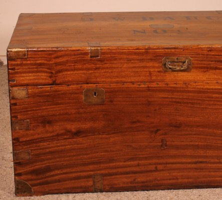 Large 19th Century Camphor Wood Campaign Chest-HPU-1420611