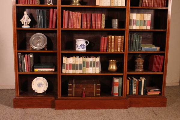 Large 19th Century Mahogany Open Shelves-HPU-1415037