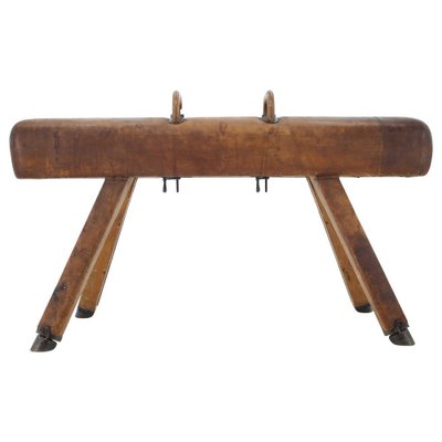 Large Adjustable Gymnastic Leather Pommel Horse, 1950s-TZ-982926