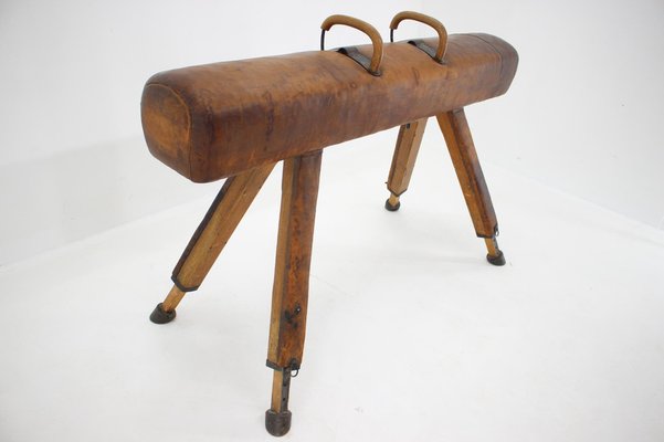 Large Adjustable Gymnastic Leather Pommel Horse, 1950s-TZ-982926