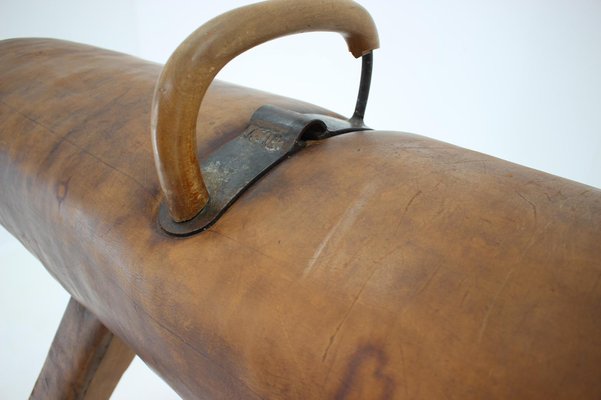 Large Adjustable Gymnastic Leather Pommel Horse, 1950s-TZ-982926