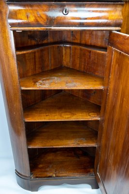 Large Antique Corner Cabinet in Mahogany, 1840s-UY-951527