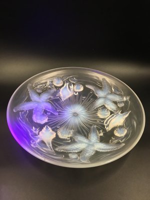 Large Art Deco Opalescent Bowl with Seastars by Verlys, 1930s-SAK-1797382