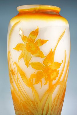 Large Art Nouveau Cameo Vase with Daffodil Decor by Émile Gallé, France, 1904-EMT-1785954