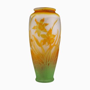 Large Art Nouveau Cameo Vase with Daffodil Decor by Émile Gallé, France, 1904-EMT-1785954