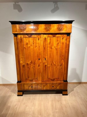 Large Biedermeier Armoire in Cherry, South Germany, 1820s-NNB-1757276