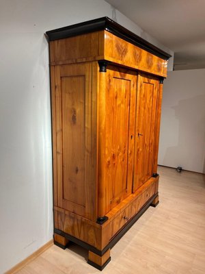 Large Biedermeier Armoire in Cherry, South Germany, 1820s-NNB-1757276