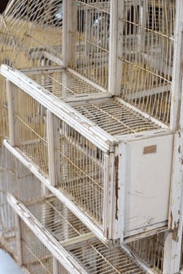 Large Bird Cage, 19th Century-LA-955368