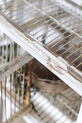 Large Bird Cage, 19th Century-LA-955368