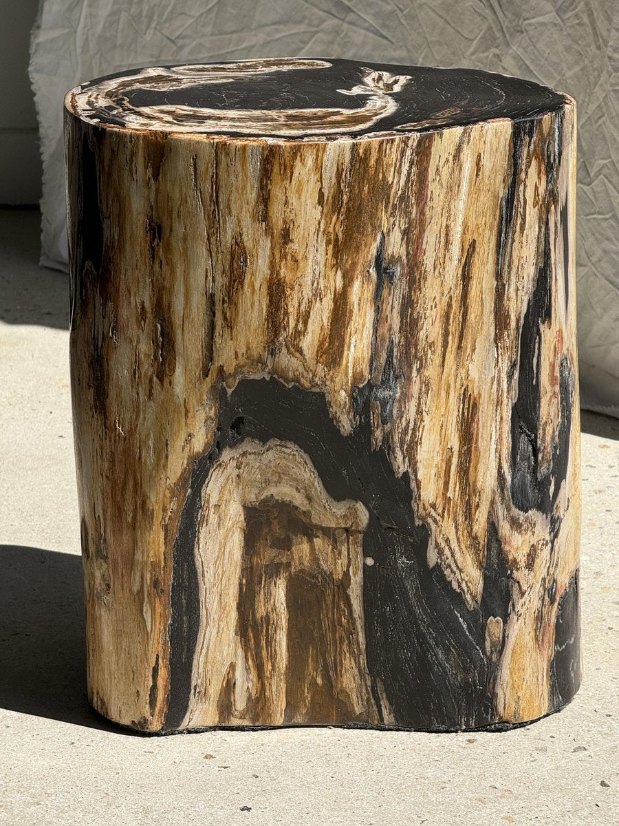 Large Black Multicolored Organic Petrified Wood Side Table