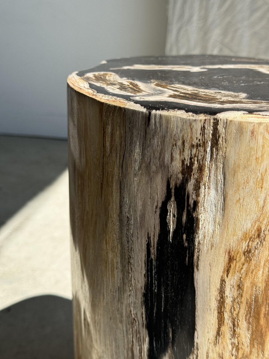 Large Black Multicolored Organic Petrified Wood Side Table