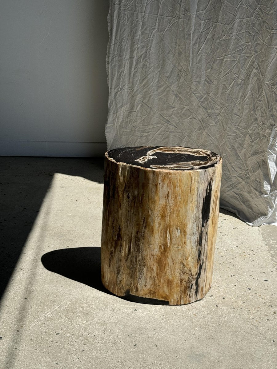 Large Black Multicolored Organic Petrified Wood Side Table