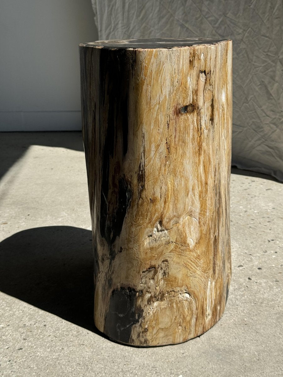 Large Black Multicolored Organic Petrified Wood Side Table