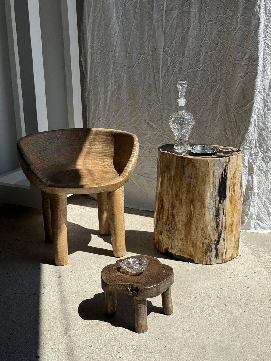 Large Black Multicolored Organic Petrified Wood Side Table