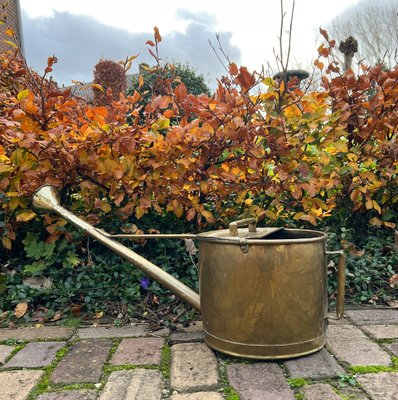 Large Brass Garden Watering Can, 1930s-WZZ-1758152