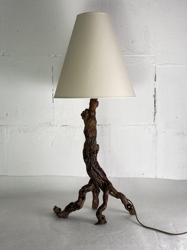 Large Brutalist Organic Vine Branch Lamp, France, 1950s