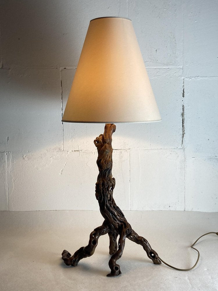 Large Brutalist Organic Vine Branch Lamp, France, 1950s