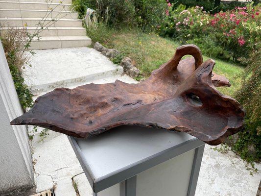 Large Brutalist Wood Bowl in Brown Patina, France, 1960s-UR-1315554