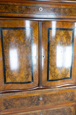 Large Cabinet of Mahogany and Walnut, 1880s-UY-980682