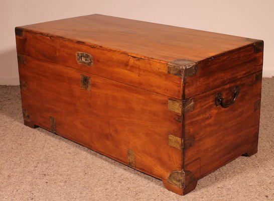 Large Campaign Chest in Camphor Wood, 19th Century-HPU-1765833