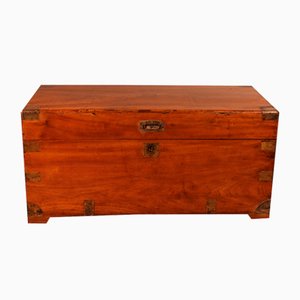 Large Campaign Chest in Camphor Wood, 19th Century-HPU-1765833