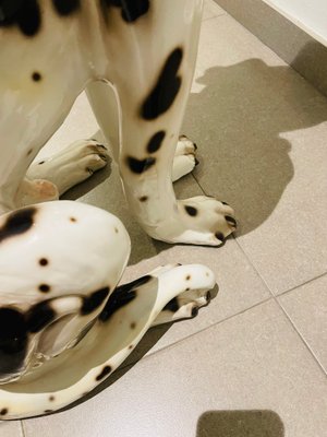 Large Dalmatian Dog Statue from Bassano, Italy, 1970s-OPE-1082979