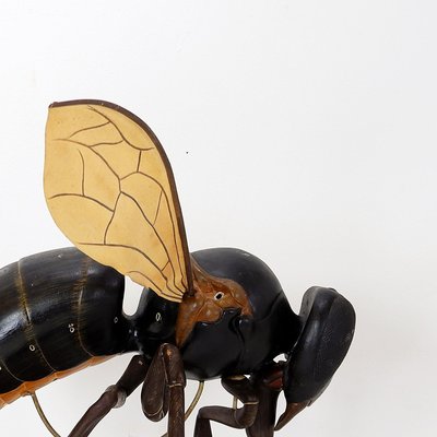 Large Didactical Model of a Bee, 1950-NYF-2018801