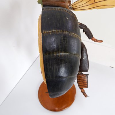 Large Didactical Model of a Bee, 1950-NYF-2018801