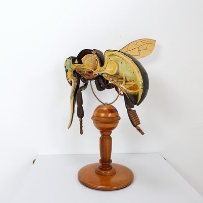 Large Didactical Model of a Bee, 1950-NYF-2018801