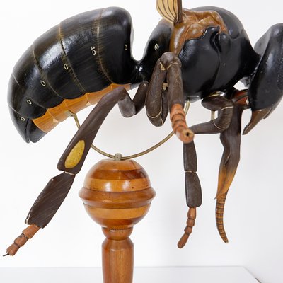 Large Didactical Model of a Bee, 1950-NYF-2018801