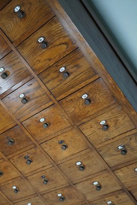 Large Dutch Oak Apothecary Cabinet with Enamel Shields, 1900s-XO-1778192