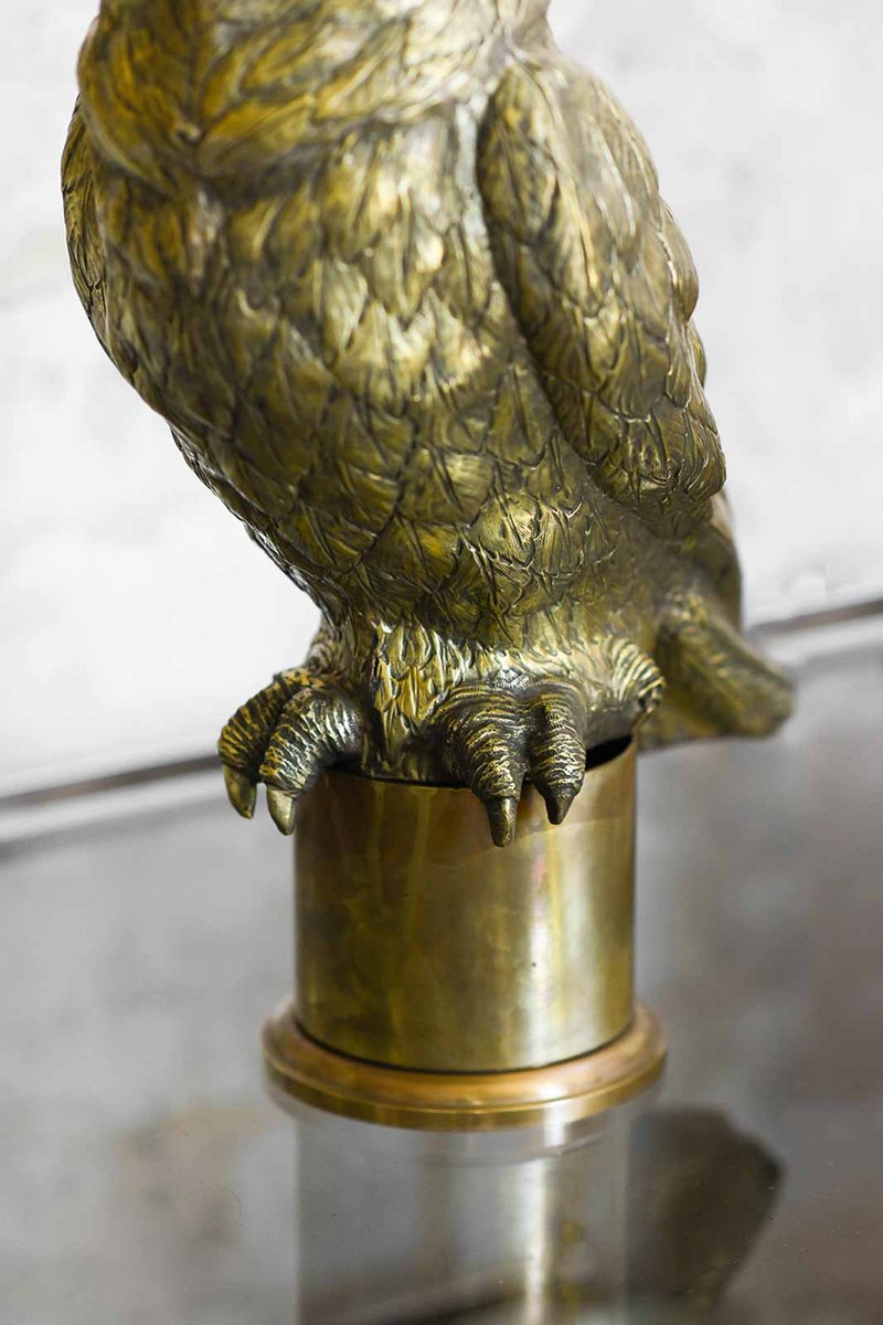 Large Embossed Brass Parrots, 1970s, Set of 2