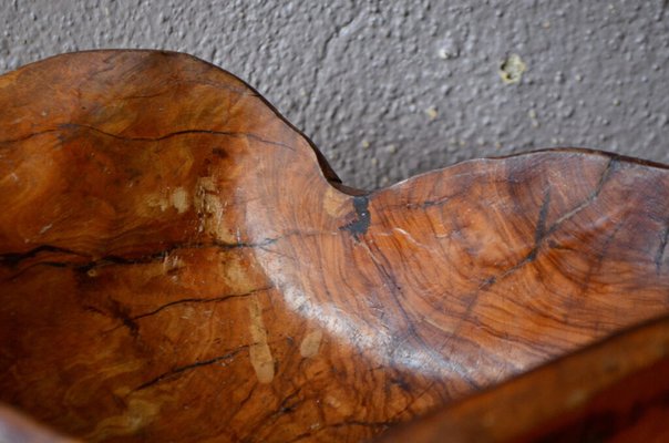 Large Free-form Bowl In Brutalist Olive Wood, 1960s-AIU-1716593